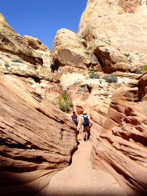 04160302LittleWildHorse (1053)